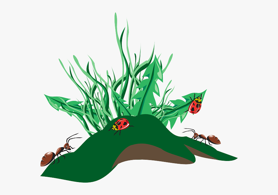 Com/en/grass Insects Dirt Weeds Ants 46135/ - Ants Clip Art, Transparent Clipart