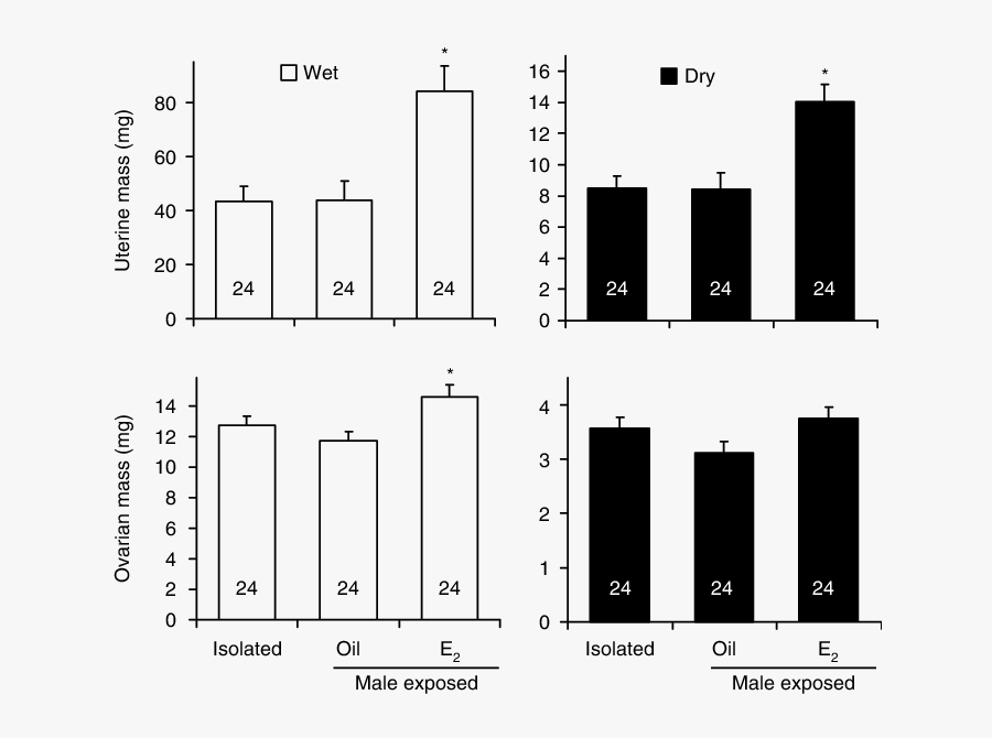 Ovaries Drawing Normal - Particle Size Vs Bulk Density, Transparent Clipart