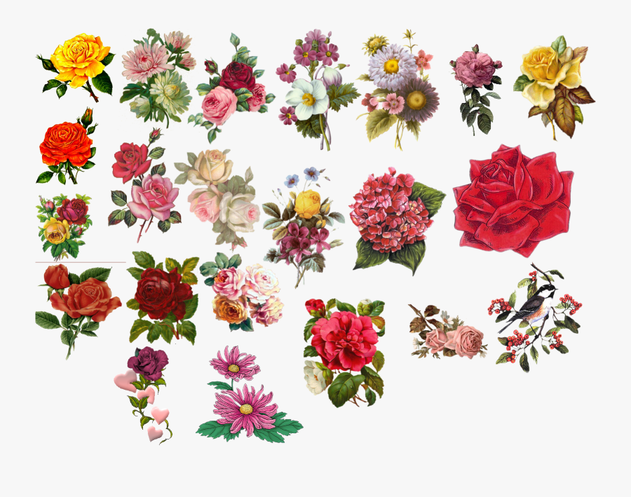 Flower Pictures Beautiful Flowers, Transparent Clipart