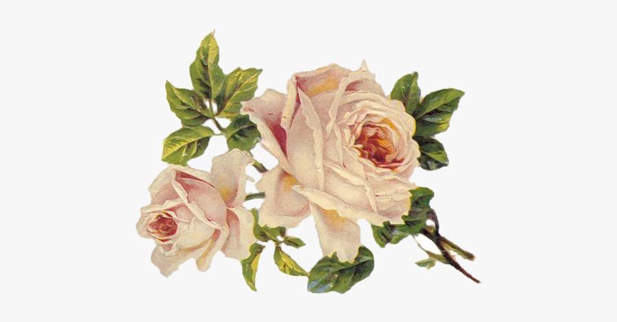 Chase Atlantic Phone Case, Transparent Clipart