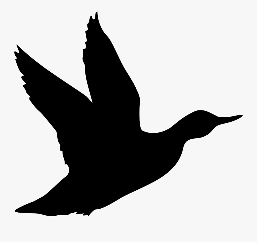 Bird Take Off Silhouette, Transparent Clipart