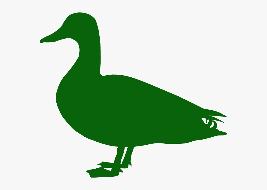 Green Duck Silhouette, Transparent Clipart