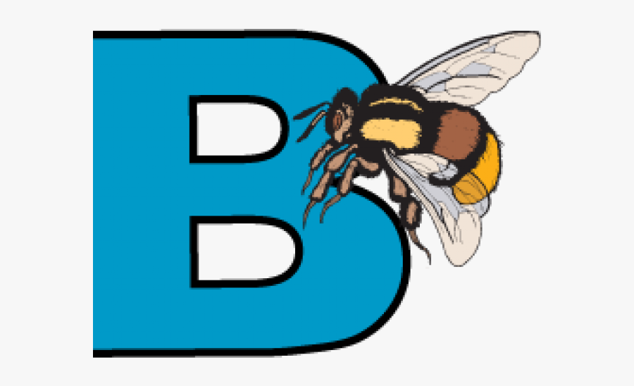 Cliparts Banner Abc"s - Cartoon, Transparent Clipart