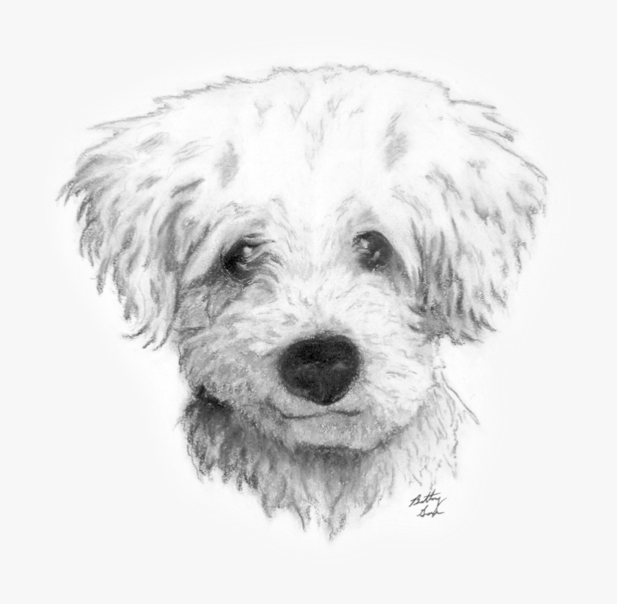 Graphic Transparent Drawing Charcoal Dog - Dogs To Draw Charcoal, Transparent Clipart