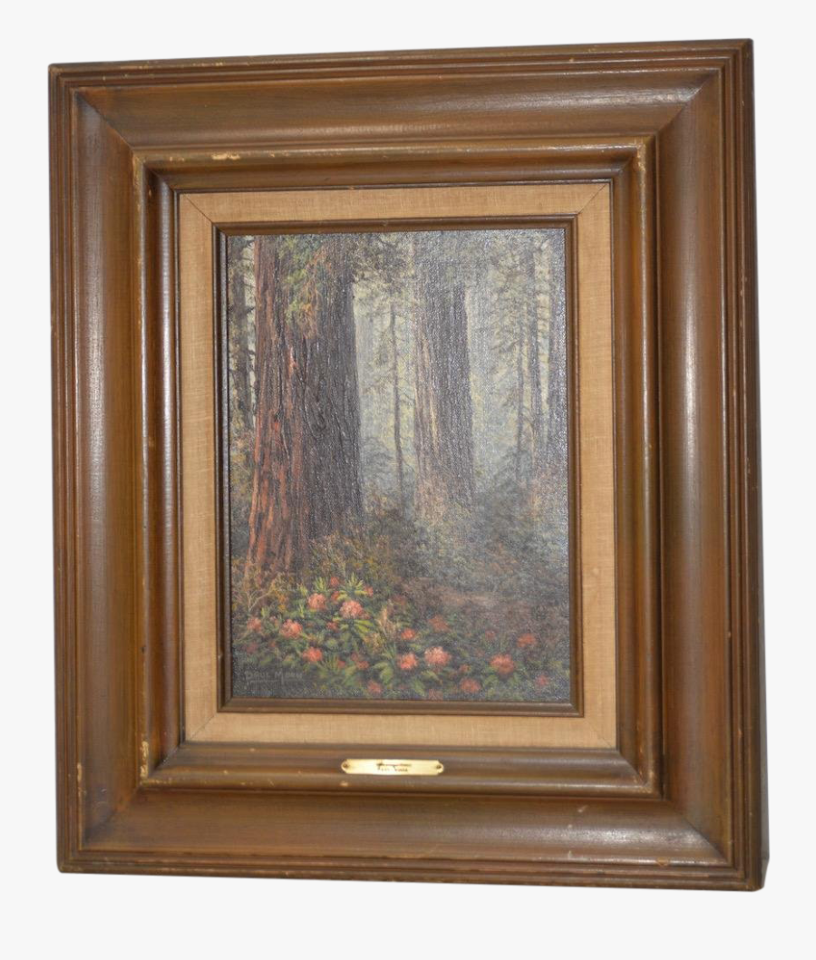 Clip Art California Redwood Forest By, Transparent Clipart