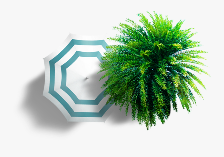 Summer Umbrella Colorful Trees Plan View Clipart - Umbrella Plan View Png, Transparent Clipart