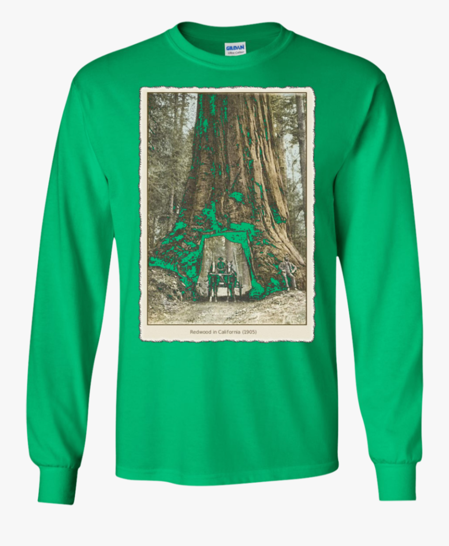 Transparent Redwood Tree Png - T-shirt, Transparent Clipart