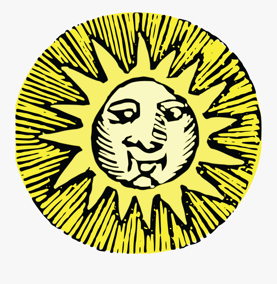 Plant - Portable Network Graphics, Transparent Clipart