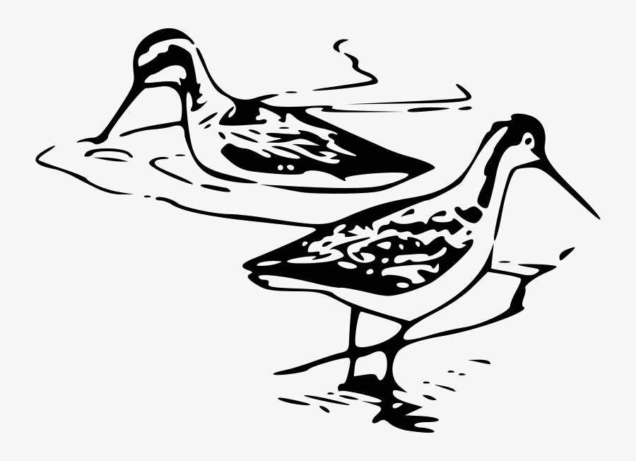 Libro Almanaque Escuela Para Todos 1981, Transparent Clipart