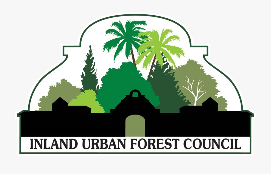 Transparent Sky Vector Png - Inland Urban Forest Council, Transparent Clipart