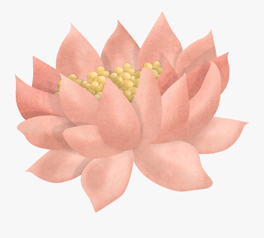 Lily Pad Flower Clipart, Transparent Clipart