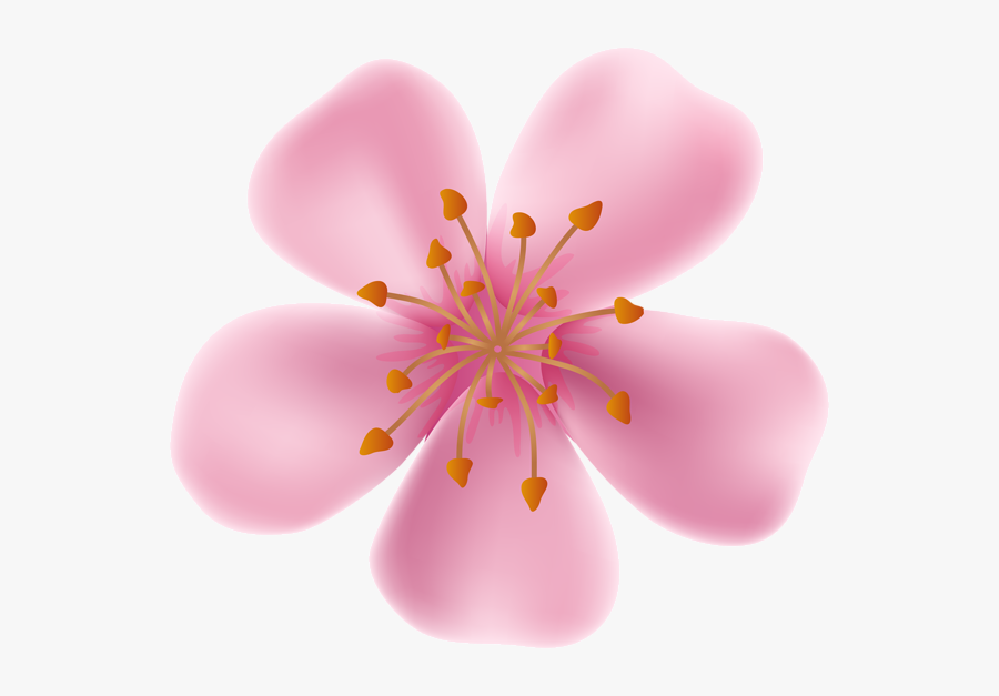 Flower Clipart Bloom, Transparent Clipart