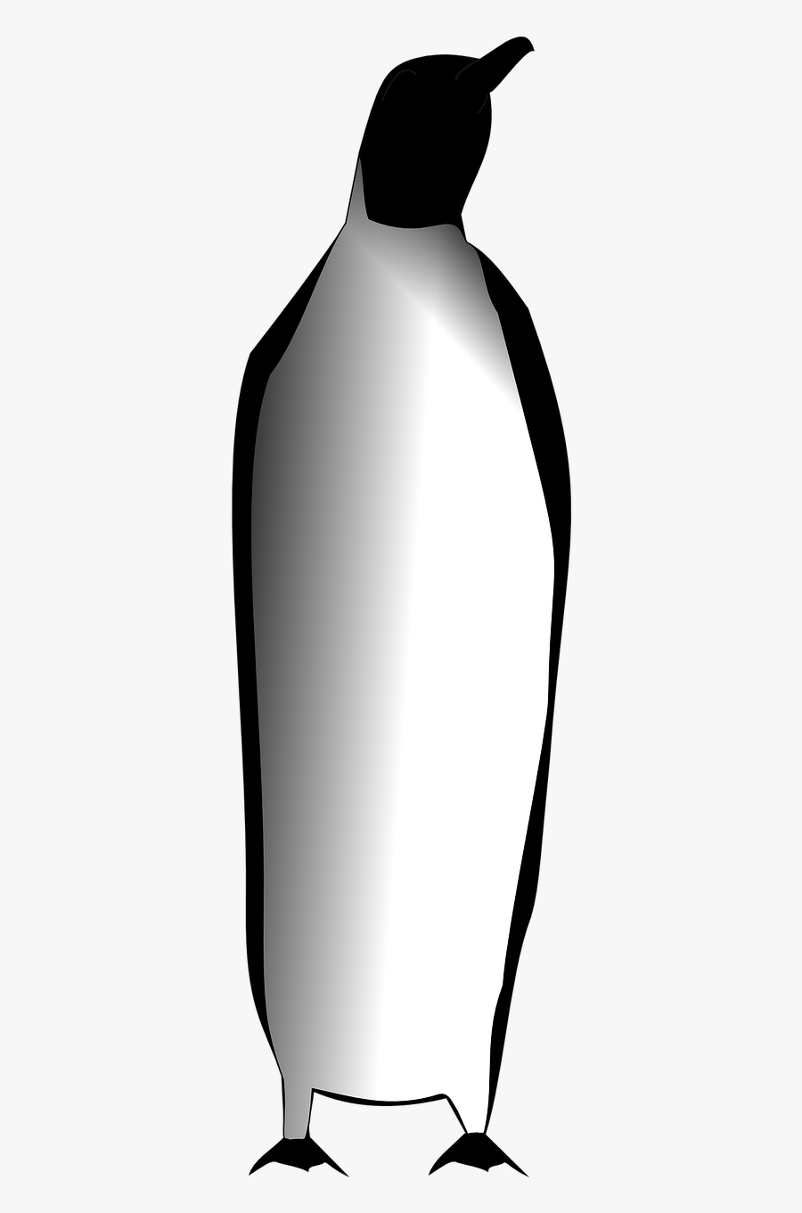 Császárpingvin Png, Transparent Clipart