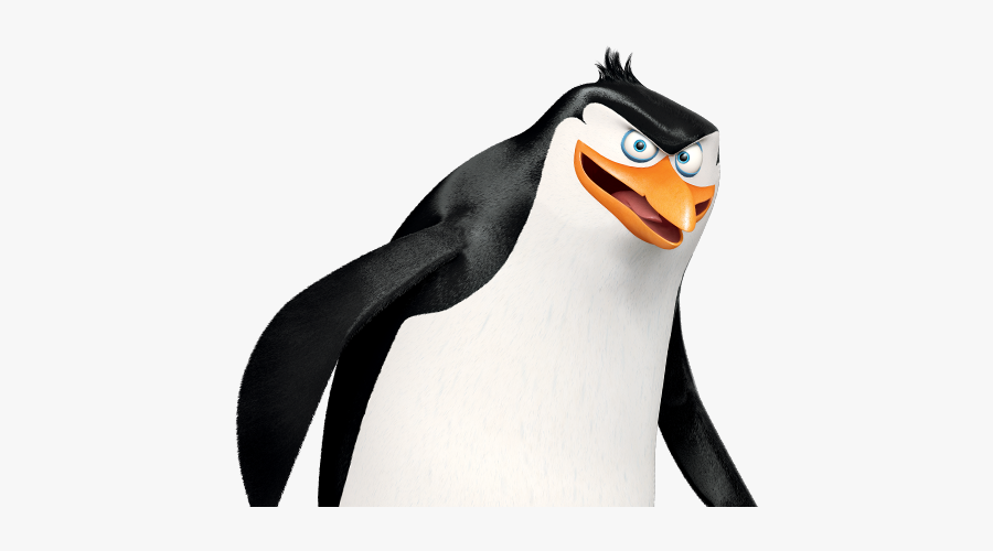 Madagascar Penguins Png - Rico Pinguins De Madagascar, Transparent Clipart