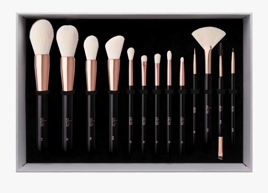 Complete Brush Collection, Transparent Clipart