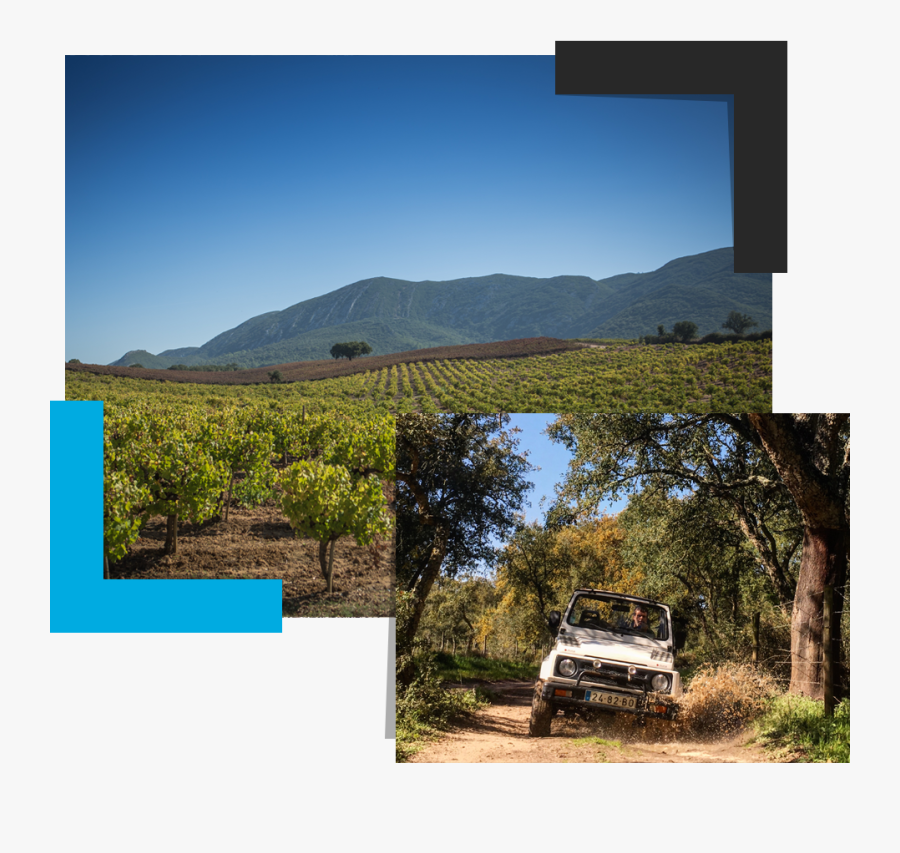 Clip Art Jeep X Tours, Transparent Clipart