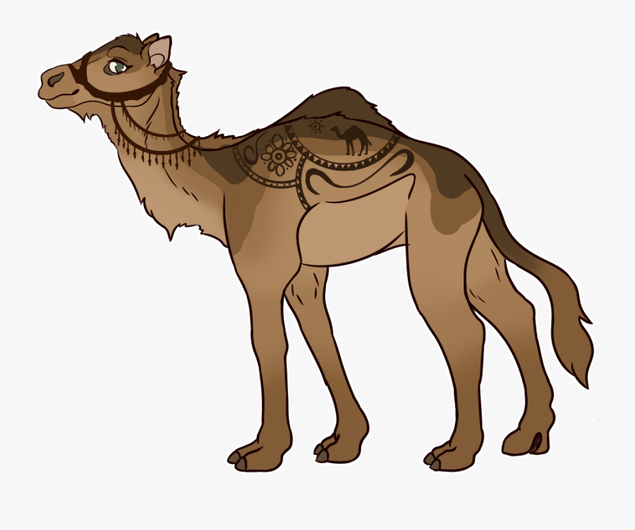 Arabian Camel, Transparent Clipart