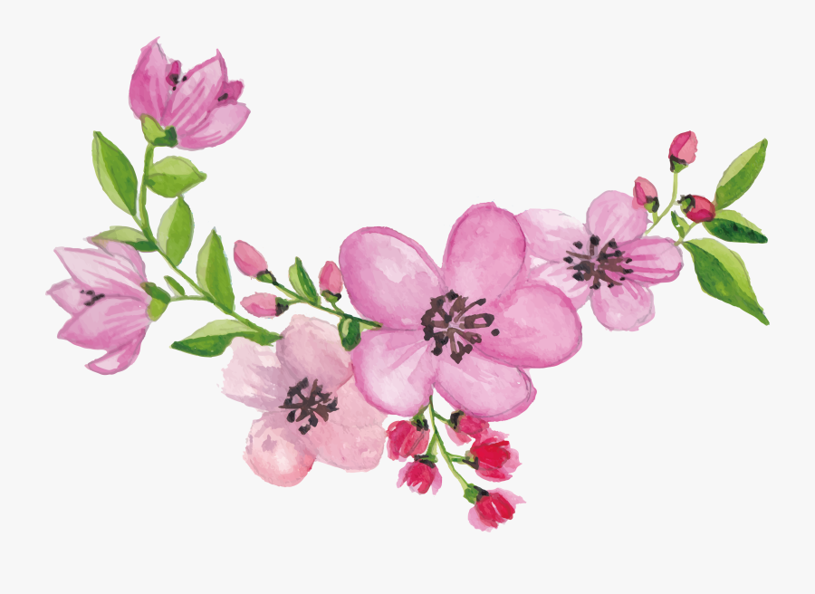 Clip Art Beautiful Sketches Of Flowers - Gilliflower, Transparent Clipart