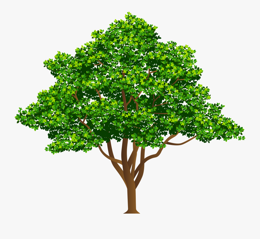 Tree Png, Transparent Clipart