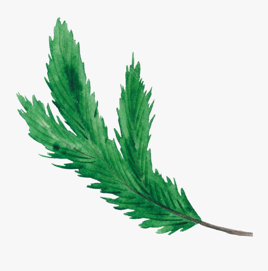 Christmas Leaf Png Green Christmas Leaf Christmas Transparent - Transparent Leaves Vector Png, Transparent Clipart