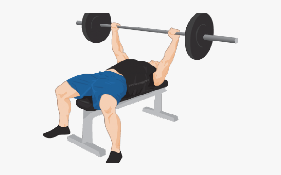 Muscular Exercise Png, Transparent Clipart