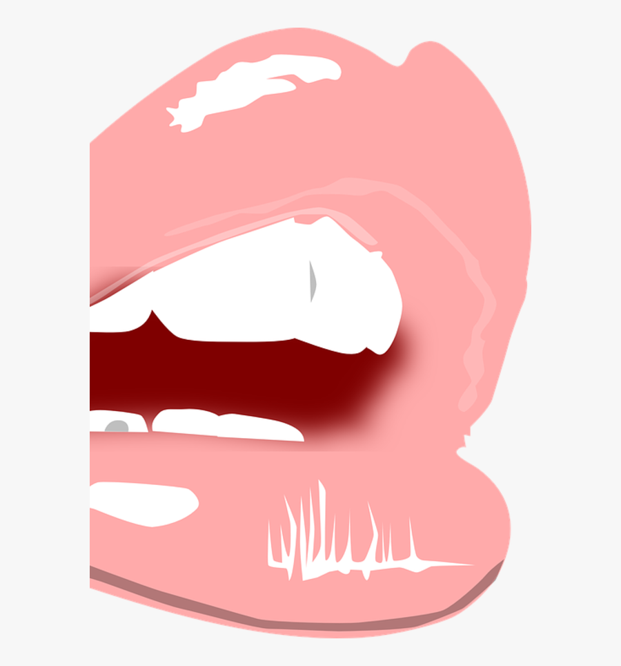 Which Color Are You - Transparent Lip Drawing Png, Transparent Clipart