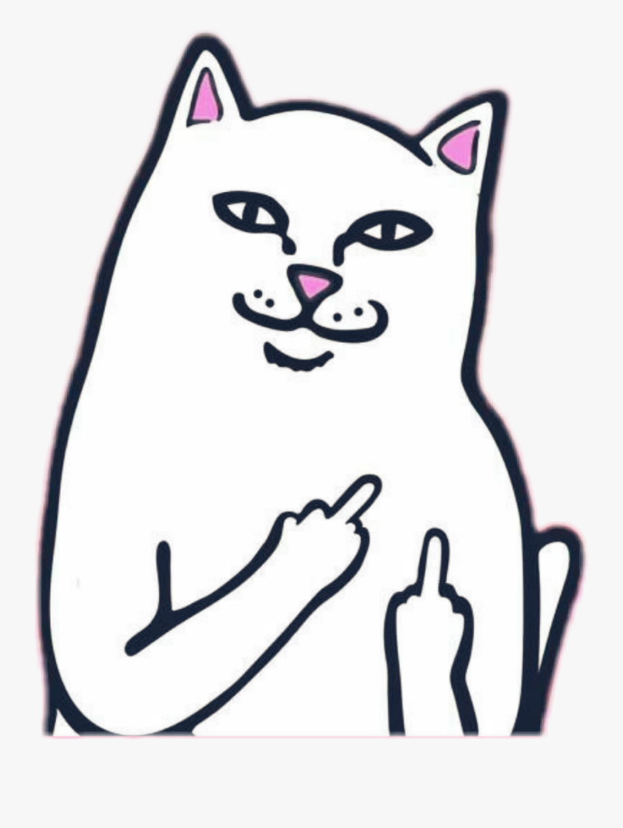 #gato #troll #lol #cat #gato - Fuck You Cat Meme, Transparent Clipart