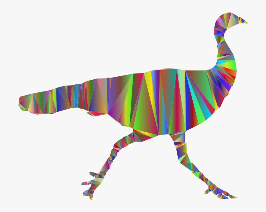 Marine Mammal, Transparent Clipart