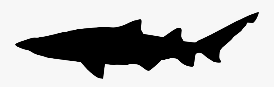 Shark Silhouette Png, Transparent Clipart