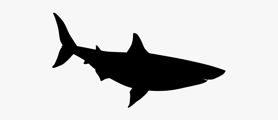 Animals Silhouettes Shark, Transparent Clipart