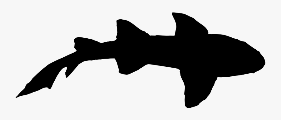 Shark Silhouette From Top, Transparent Clipart