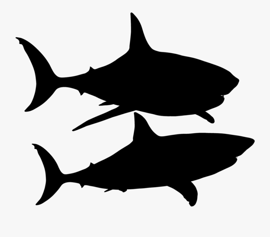 Shark Silhouette - Shark Hd, Transparent Clipart