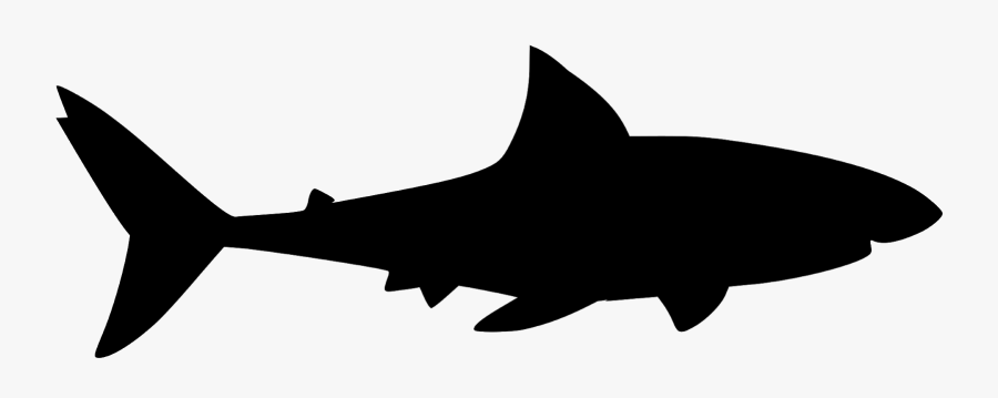 Shark, Jaws, Silhouette, Fish, Great, Tattoo, Animal, - Shark, Transparent Clipart
