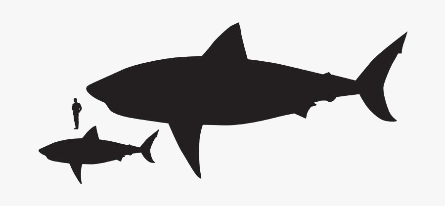 Shark Silhouette Clip Art, Transparent Clipart