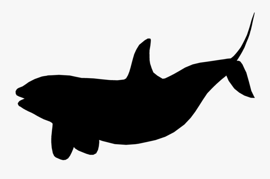 Killer Whale Transparent Background, Transparent Clipart