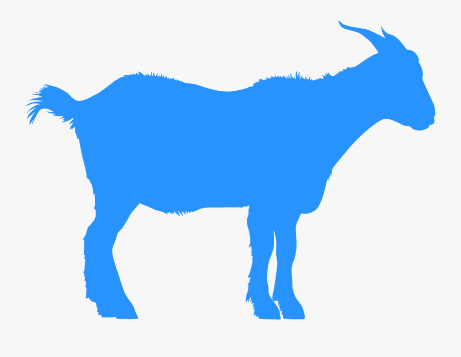 Bode Silhueta, Transparent Clipart