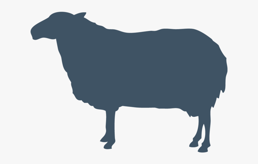 Sheep Vector Graphics Goat Silhouette Royalty-free - Sheep Silhouette Free Vector, Transparent Clipart