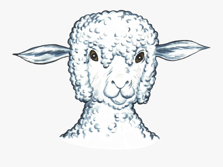 Transparent Sheep Head Png - Sheep, Transparent Clipart