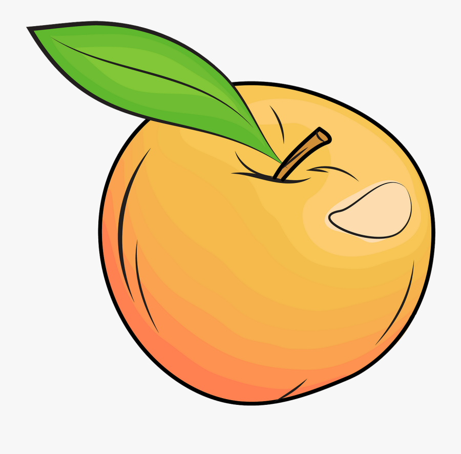 Clip Art, Transparent Clipart