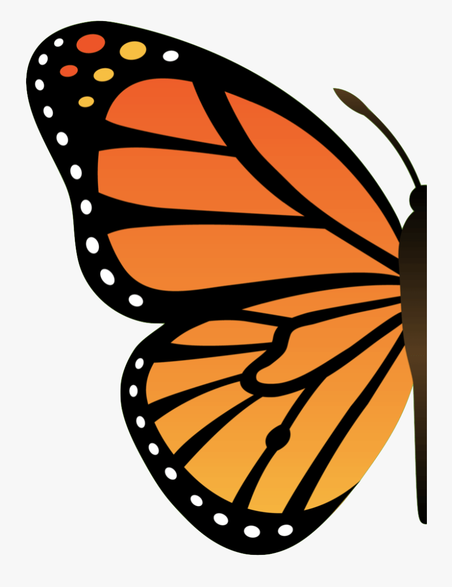 Cartoon Butterfly Png, Transparent Clipart