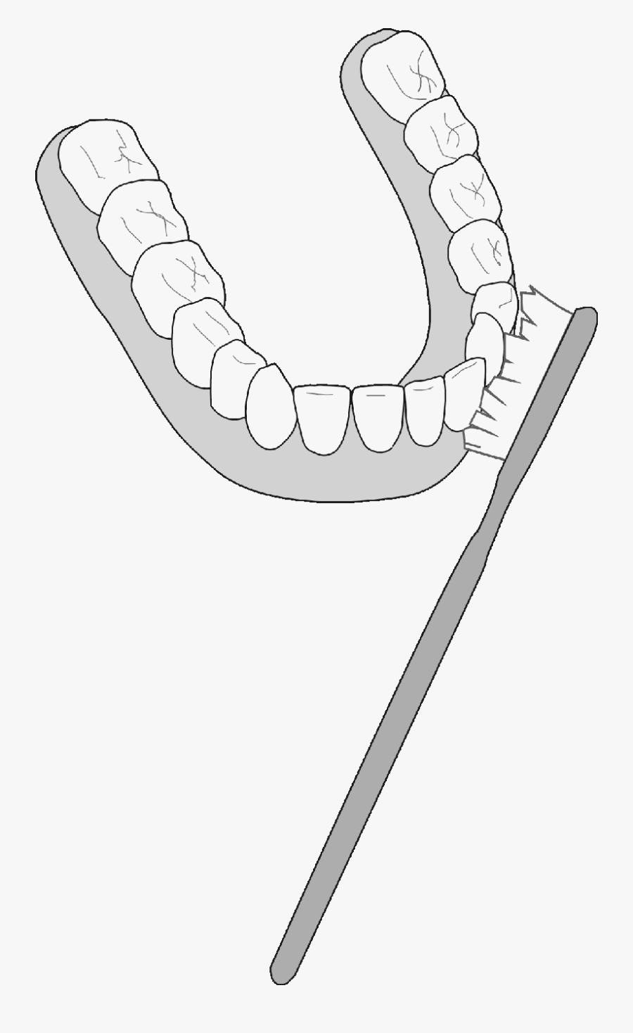 Line Art, Transparent Clipart