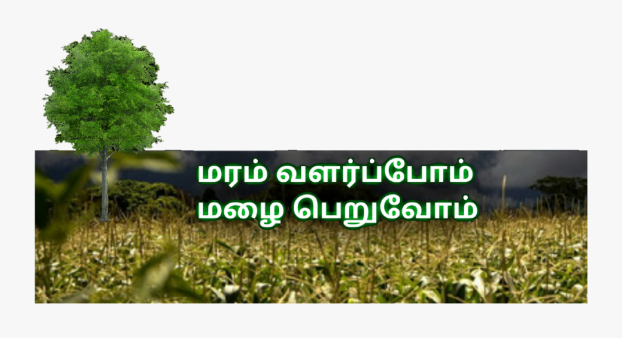 Transparent Rain Overlay Png - Save Trees Images Download, Transparent Clipart