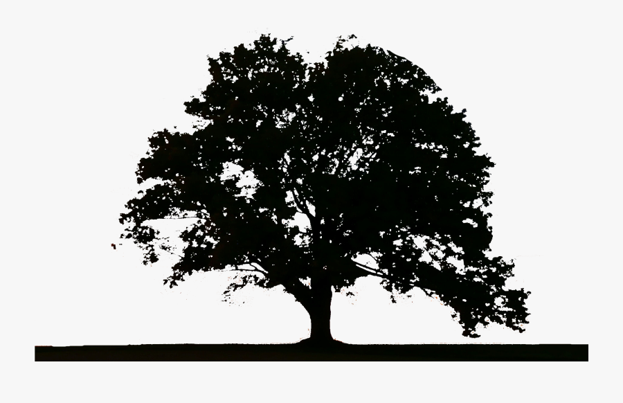 Tree Logo Png, Transparent Clipart