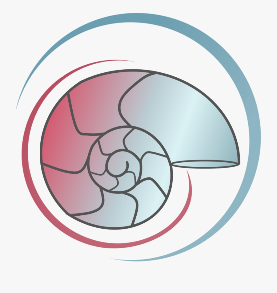 Circle, Transparent Clipart