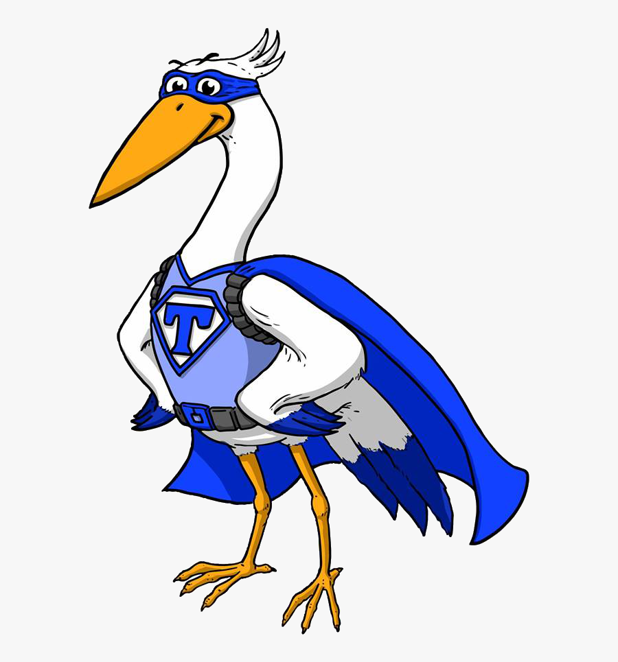 Seabird, Transparent Clipart