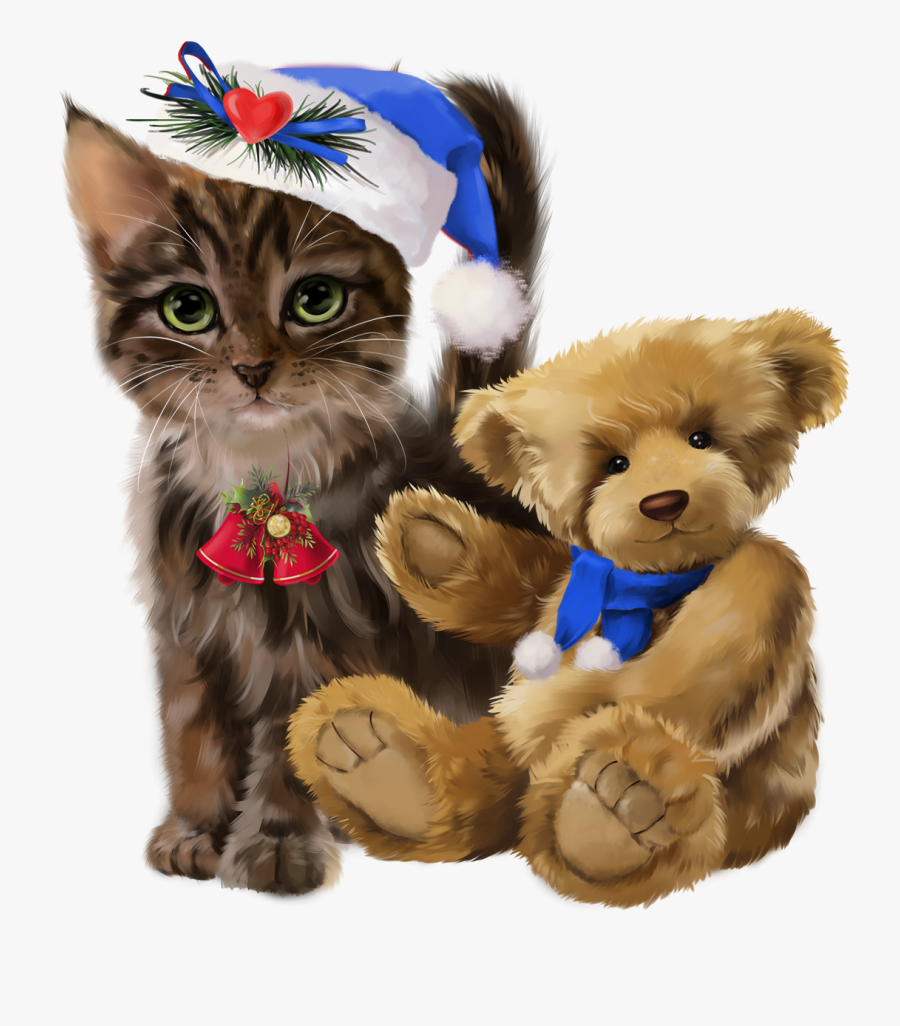 Kitten, Transparent Clipart