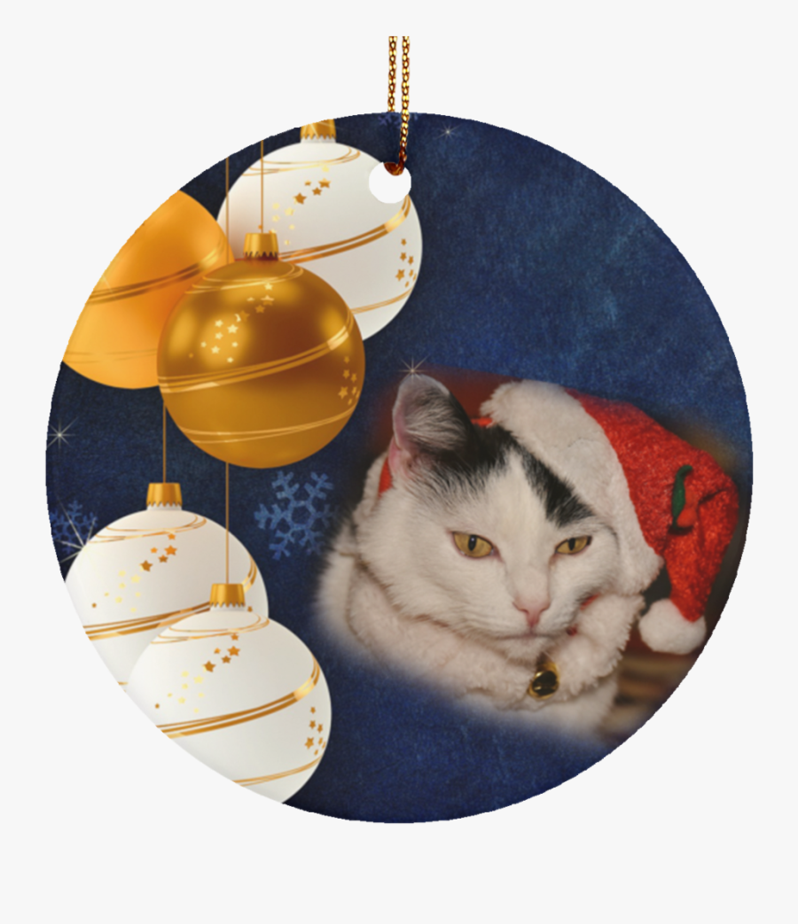 Transparent Christmas Cat Png - Schon Wieder So Weit, Transparent Clipart