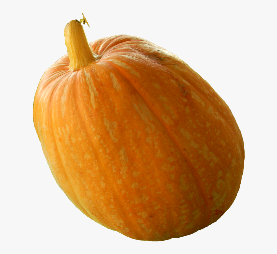 Download Real Pumpkin Png Transparent Image - Png Real Pumpkin, Transparent Clipart