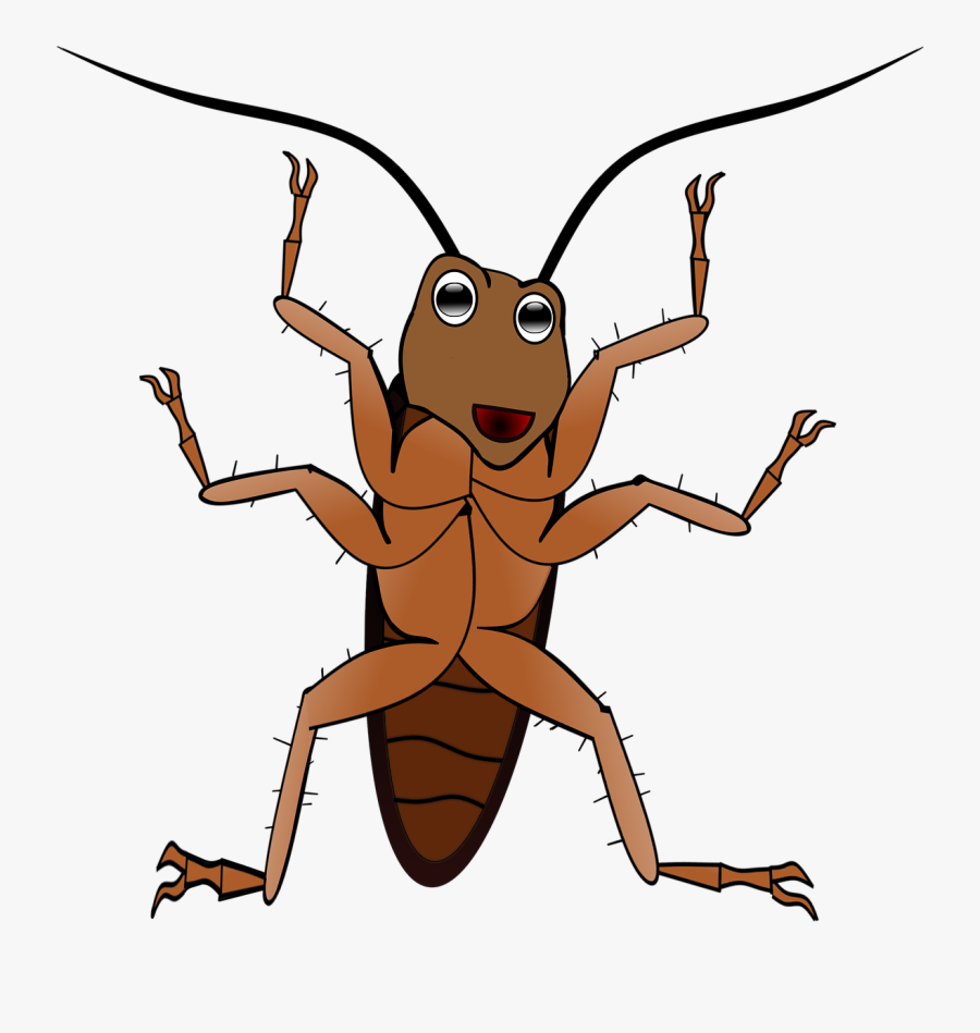 Insect-3091375 - Png แมลงสาบ การ์ตูน, Transparent Clipart