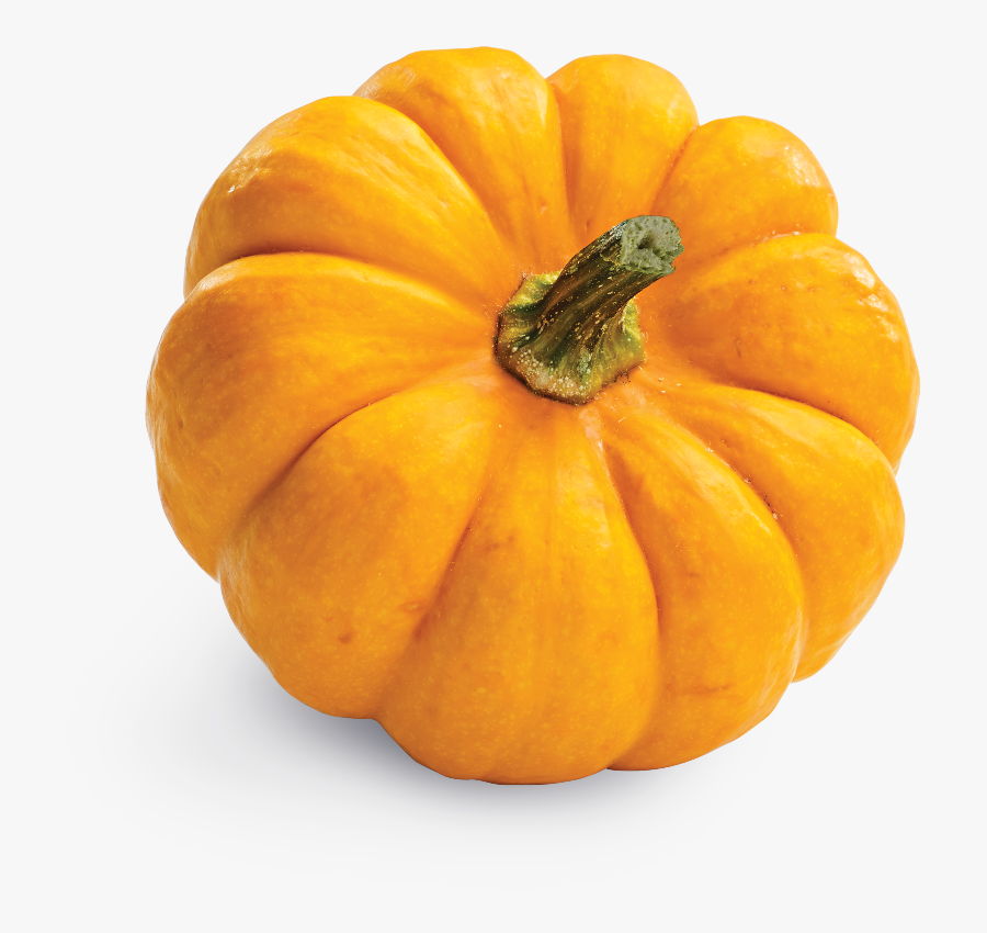 With Real Chicken, And Accents Of Blueberries, Pumpkin, - Lit Pumpkin Png, Transparent Clipart